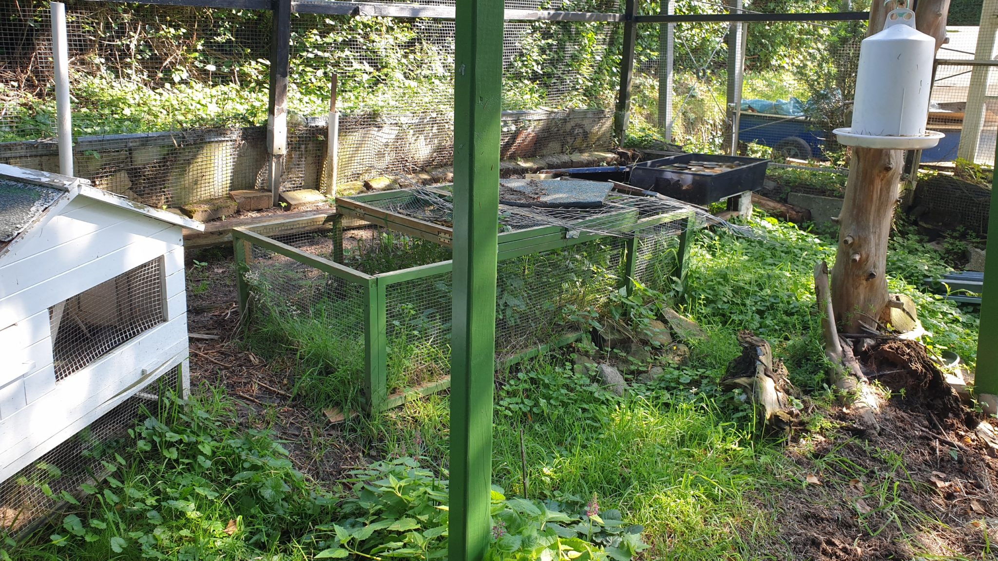 Ein ehemaliges Kleintiergehege wünscht sich einen Gartenliebhaber